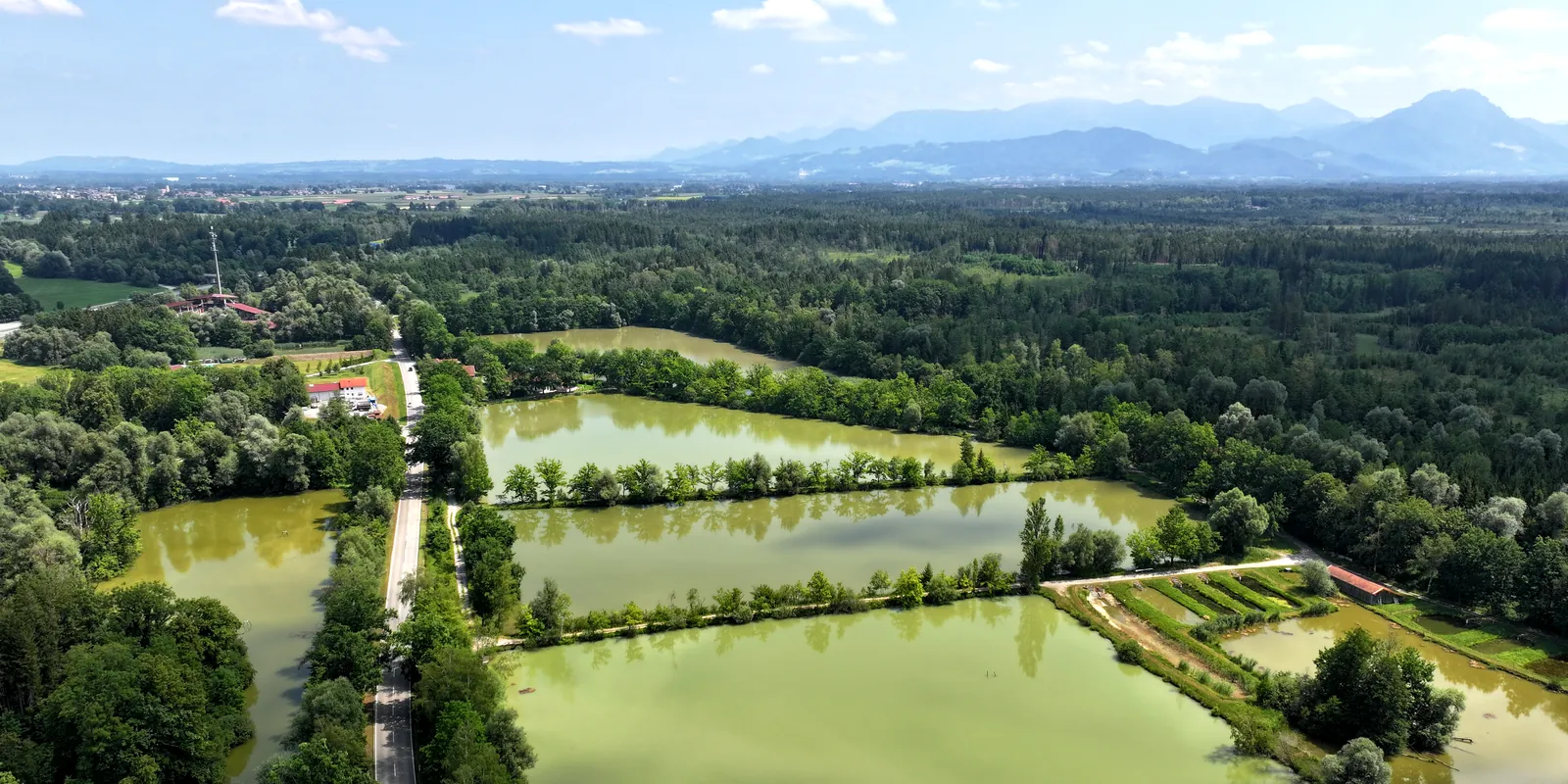 Luftaufnahme der Fischweiher in den Wasserwiesen vor den Bergen