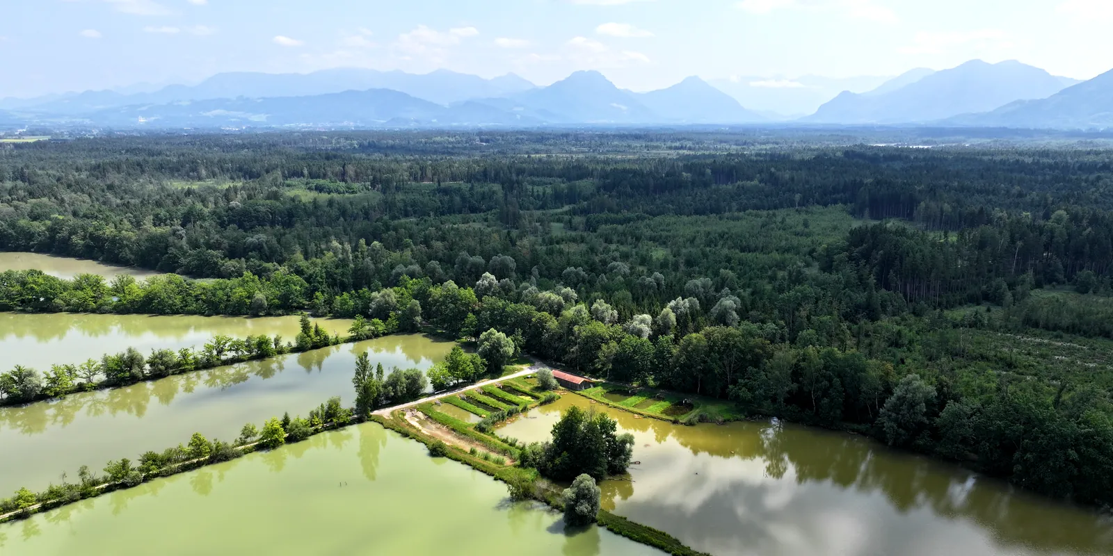 Luftaufnahme der Weiher in den Wasserwiesen mit Blick auf die Berge