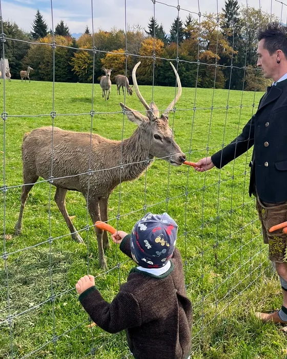 Christian Heiß füttert einen Hirsch am Gehegezaun