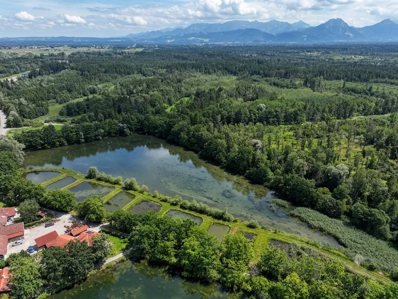 Weiher und Wald in den Wasserwiesen von oben