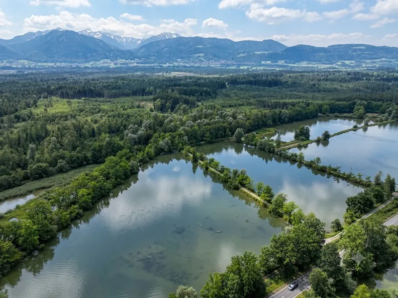 Langgezogene Weiher zwischen Bäumen